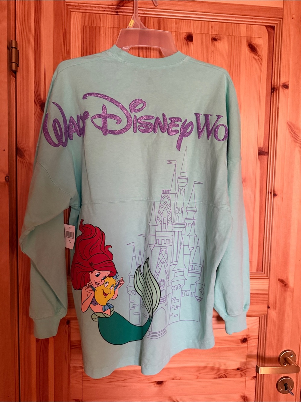 Disney Mint Green Ariel & Castle adult Sweatshirt 2026 WDW limited edition